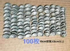 アワビ　貝殻　100枚　10cm前後✕6cm以上