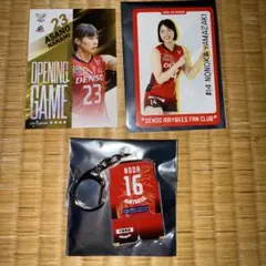 デンソーエアリービーズ スポーツ選手