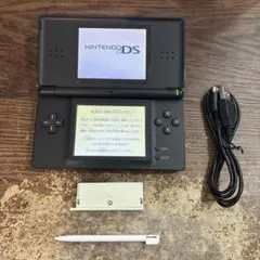 ☆充電器付き☆ニンテンドーDS Lite ジェットブラック