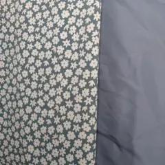 Item thumbnail for item a21fcdfa-0143-4a75-a33a-7f84825f863b