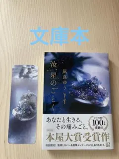 汝、星のごとく　文庫　凪良ゆう　文庫本