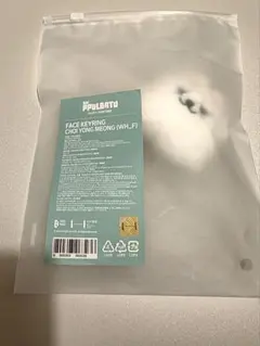 TXT PPLUBATU フェイスキーリング ヨンモン 新品未開封 スビン