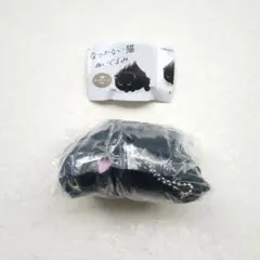 なつかない猫 カプセルトイ