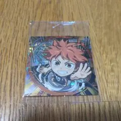 劇場版ハイキュー!! ゴミ捨て場の決戦 シールウエハース 排球レア・極 日向翔陽