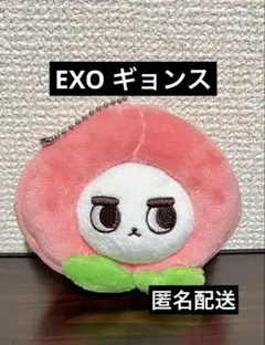 2026年最新】exo ギョンスぬいぐるみの人気アイテム - メルカリ