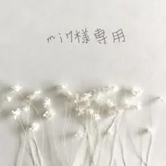 ❁︎mi7様専用ページ❁︎