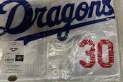 Item thumbnail for item 515fab78-2bfb-4a79-95ed-43d1a488a1a3