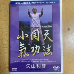 気功DVD＆書籍セット 盛鶴延 奥義集大成 ＋ 矢山利彦 大周天気功法 気功DVD＆書籍セット 盛鶴延 奥義集大成 ＋ 矢山利彦 大周天気功