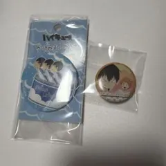 ハイキュー　日向　影山　缶バッジ　まとめのみ