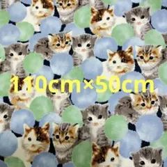 Item thumbnail for item 1565acf1-6cc9-4a06-9df6-f5b1603064d4