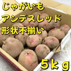 N*l様 A-STYLE 自家栽培 新じゃがいも アンデスレッド　訳あり品5ｋｇ