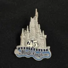45周年記念 マジックキングダム　ピンバッジ