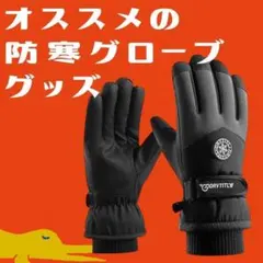 Item thumbnail for item 3a287dc4-6f35-4086-842d-33459b1b20b8