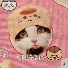 【猫】ねこのかぶりもの　ちいかわ　くりまんじゅう