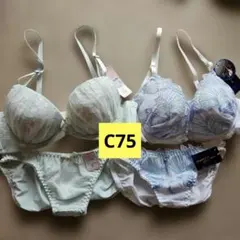 ブラジャー c75 ホワイト