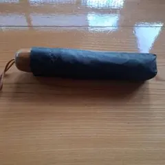 Item thumbnail for item df512863-2a5a-4fce-8355-65f85fd3d948