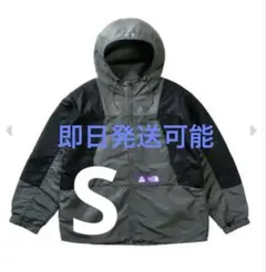 PALACE The North Face Mountain Parka