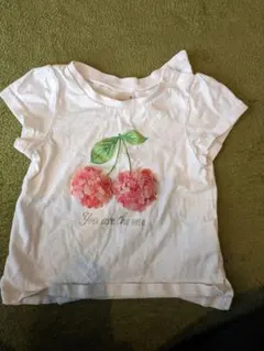 Item thumbnail for item 1a94319d-d56e-4a19-9af3-7ffb8550b240