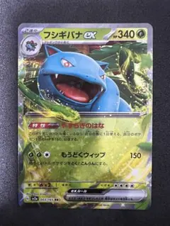 2026年最新】フシギバナEX 151の人気アイテム - メルカリ