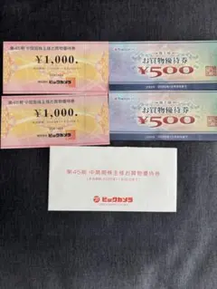 ビックカメラ　株主優待