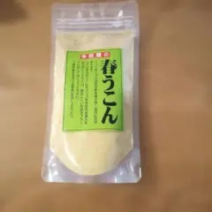 春うこん 粉末 100g