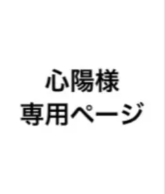 専用ページ