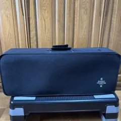 Item thumbnail for item d5b035a6-835f-4463-acc1-0a0bfec4d789