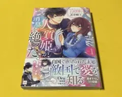 人質姫が、消息を絶った。 居場所をなくした不遇賢姫と黒狼と呼ばれる武骨騎士1