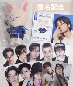 straykids KARMA skzoo フォクシニー アイエン セット