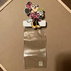 ミニーマウス チケットケース　東京ディズニーランド