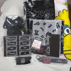 straykids スキズ アプグレ 2023 グッズ 特典 抜けなし - メルカリ