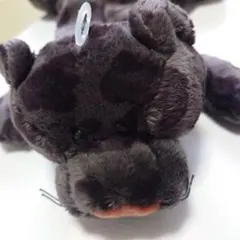 NICI ニキ 筆箱 フィギュアポーチ パンサー