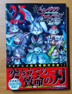 シャングリラ・フロンティア(25) ～クソゲーハンター、神ゲーに挑まんとす～