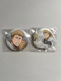 僕のヒーローアカデミア 尾白猿尾 缶バッジ 2個セット