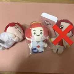 いれいす りうら ぬいぐるみセット minini おひるねこ