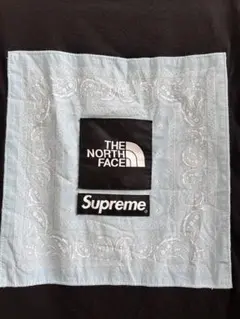 Supreme The North Face Bandana T Mサイズのサムネイル