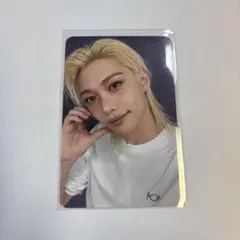 straykids DOIT フィリックス　アコーディオン　トレカ