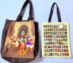 ディズニー イマジニングザマジック トートバッグ カメラ サイン 実写