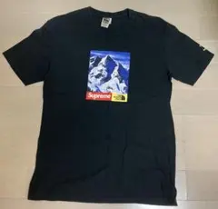 Supreme×THE NORTH FACE MountainTeeブラックM