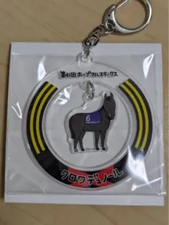 2025年最新】クロワデュノールの人気アイテム - メルカリ