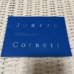 【非売品】川村記念美術館 アートコレクション 2巻セット 2026年最新】川村記念美術館の人気アイテム - メルカリ