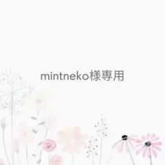 mintneko様 リクエスト 2点 まとめ商品