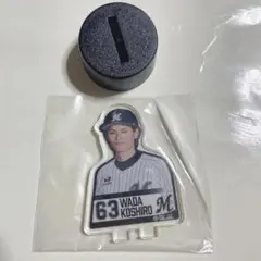 Item thumbnail for item e3457ffa-00b8-47ed-92a1-5cabb1cd2474