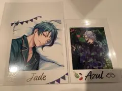 【まとめ売り】 ツイステ オクタヴィネル カード2種