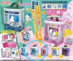 Item thumbnail for item 89ff59ea-2089-440e-b498-fb24ec422e93