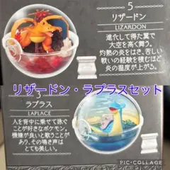 ポケットモンスター テラリウムコレクション15 リザードン ラプラス