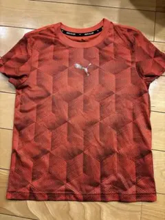 プーマ　キッズ　サッカー　トレーニングTシャツ　130 半袖
