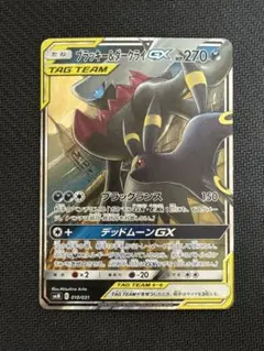 010/031 ブラッキー＆ダークライGX