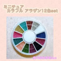 【222】ミニチュア フェイク カラフル アラザン 12色set