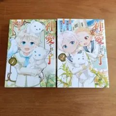 神に愛されていた子 1巻 2巻 セット